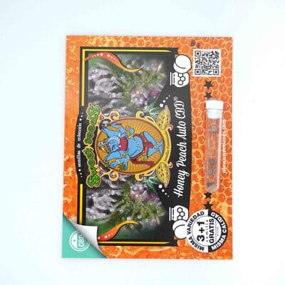 Honey Peach Auto CBD > Sweet Seeds | Autoflowering Hanfsamen  |  Indica